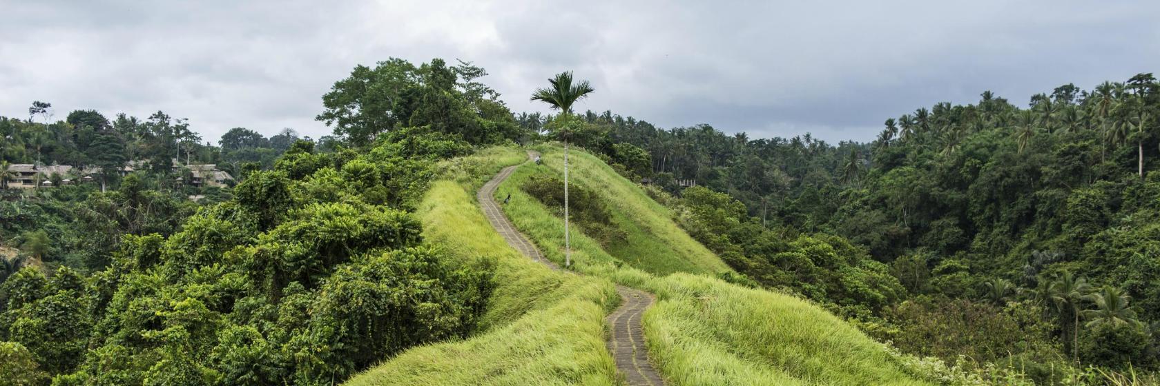 Sentier Campuhan Ridge Walk